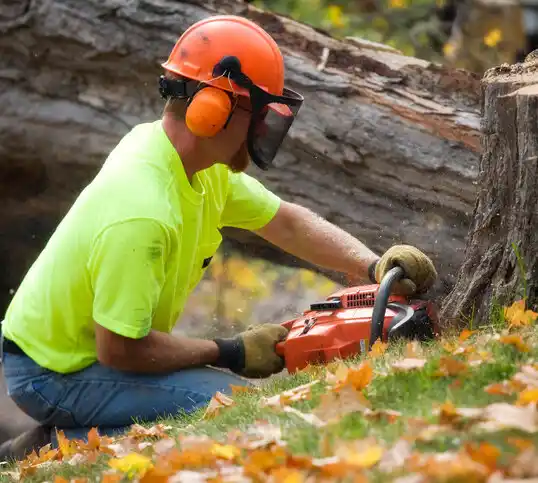 tree services Reynoldsburg